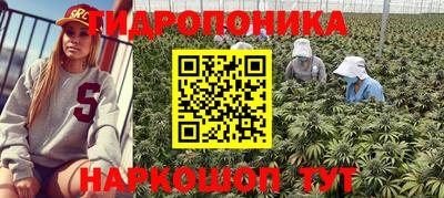 героин Кимры