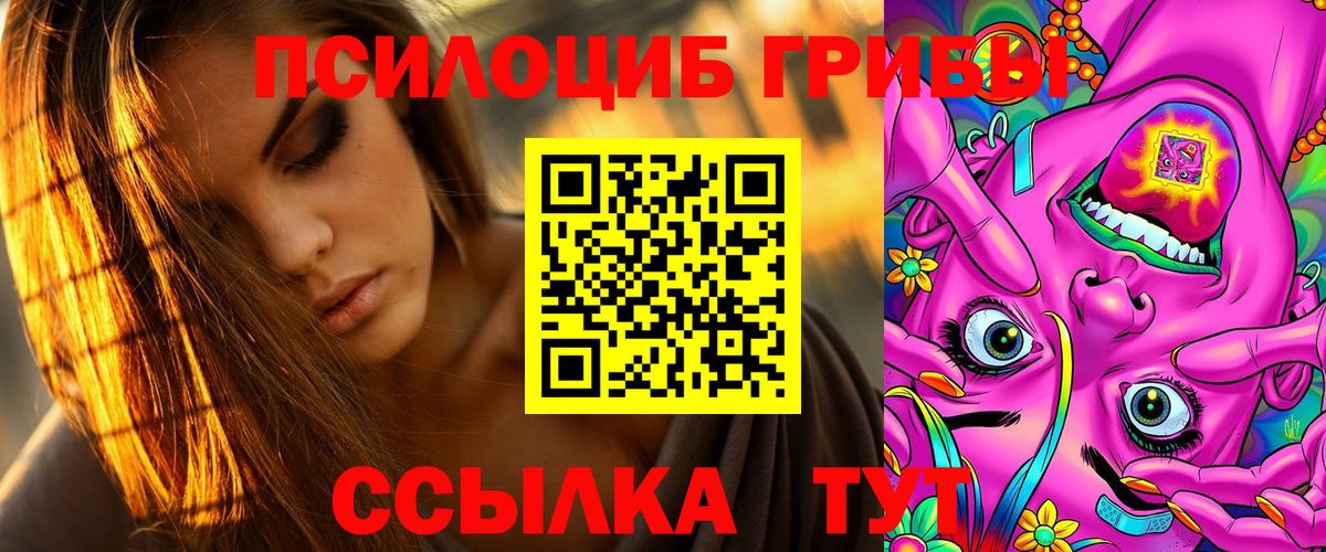 купить наркотики цена  Псилоцибиновые грибы GOLDEN TEACHER  Вход с VPN  Кстово 