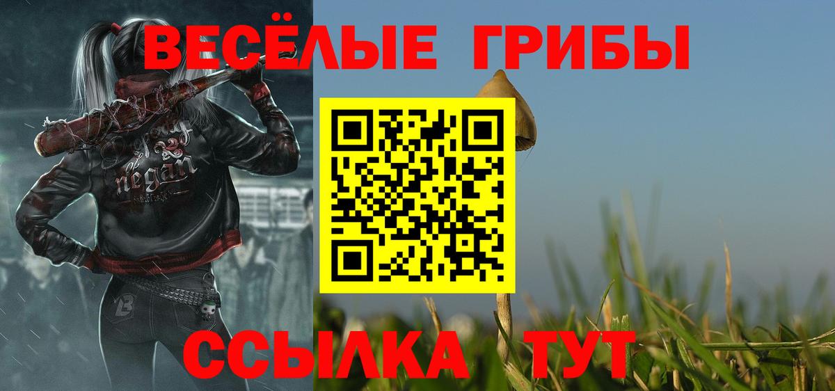 Галлюциногенные грибы Psilocybine cubensis Кстово